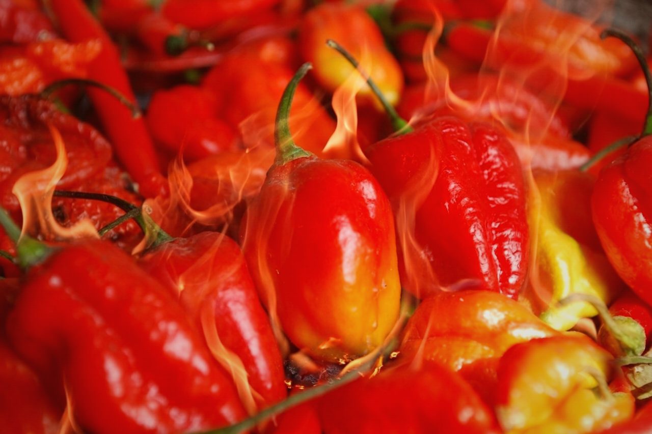 Flaming red dalle khursani chillies from Sikkim